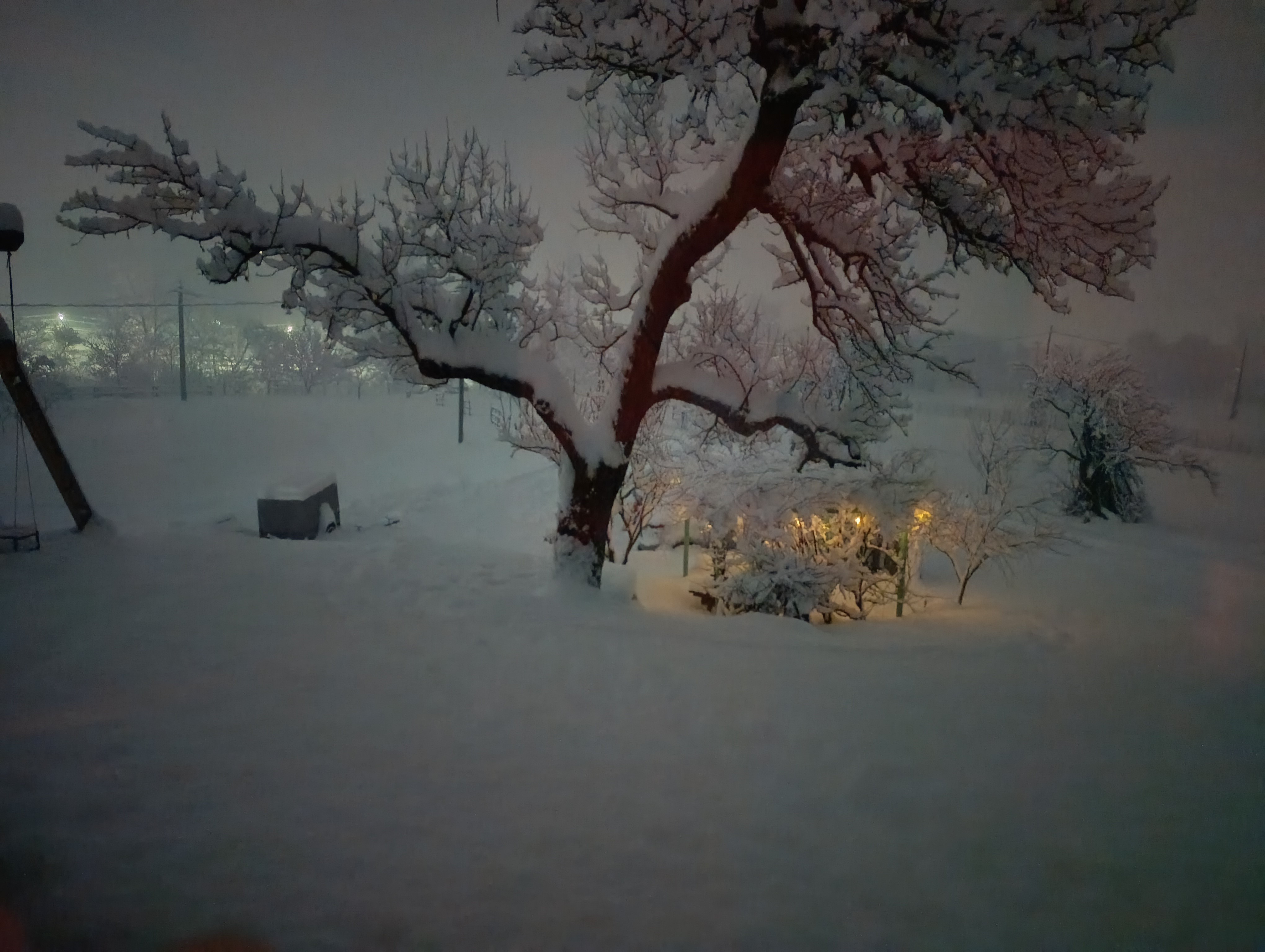 Floarea Vieții property photo